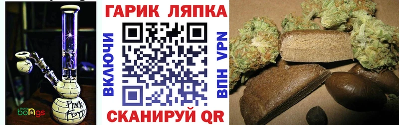 ГАШ Premium  цена   Белгород 