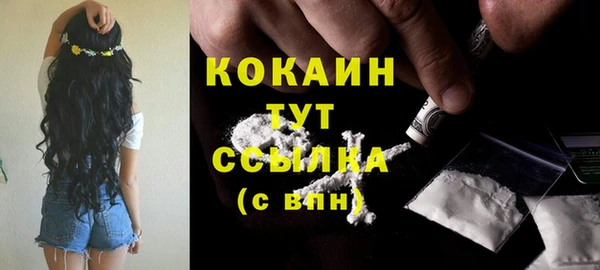 крисы Алзамай
