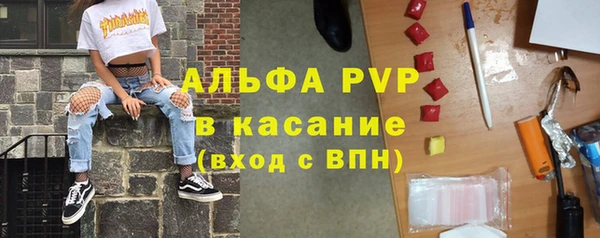 мет Алексин